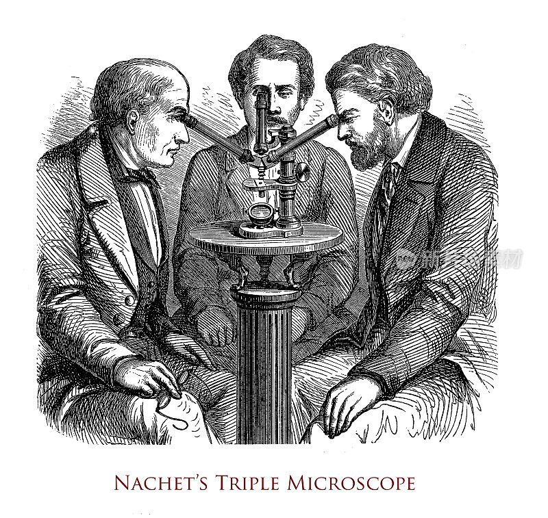 由19世纪巴黎的眼镜师Camille Sebastien Nachet制作的三倍显微镜